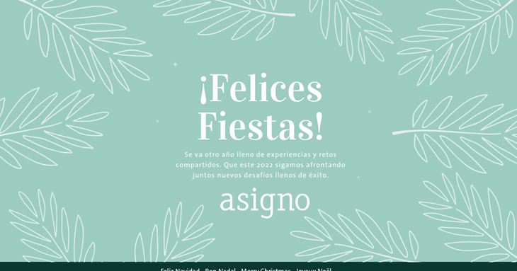 Asigno wishes you Happy Holidays